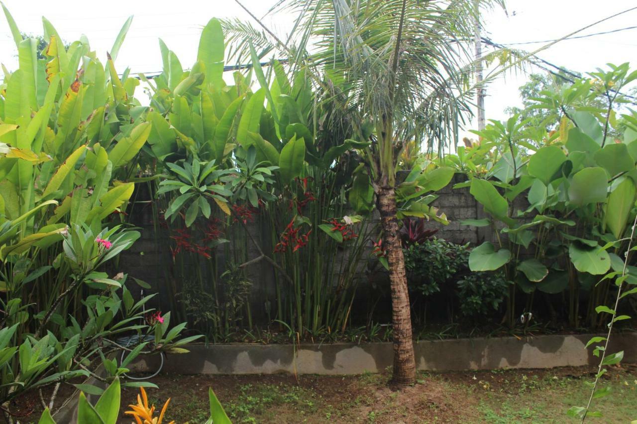 Paranyogan Homestay 2 Джимбаран Экстерьер фото
